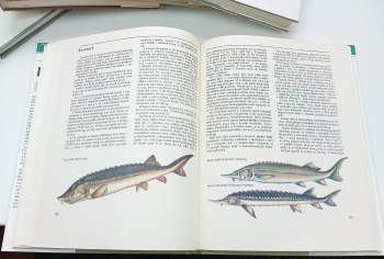 Jurij Dmitrijevič Dmitrijev: Ryby známé i neznámé, lovené, chráněné + Ptáci známí i neznámí, lovení, chránění + Hmyz známý i neznámý, pronásledovaný, chráněný + Savci známí i neznámí, lovení, chránění + Obojživelníci a plazi