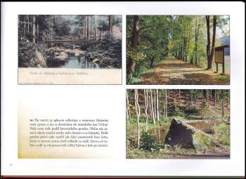 Jan Tydlitát: Rychnovské proměny