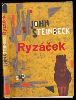 Ryzáček
