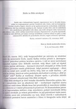 Hanns Zischler: S Kafkou do kina