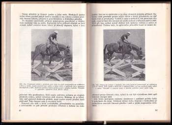 Josef Dobeš: S koněm přes překážky