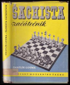 Šachista začátečník