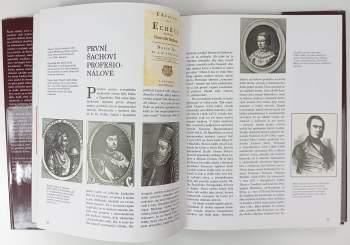 Wilhelm Ziehr: Šachy