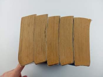 Raymond E Feist: Sága o Impériu 1 - 5 - KOMPLETNÍ SÉRIE - Dcera Impéria + Ochránce Impéria - Otrok + Ochránce Impéria - Milenec + Správce Impéria - Vrah + Správce Impéria - Císař