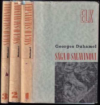 Sága o Salavinovi