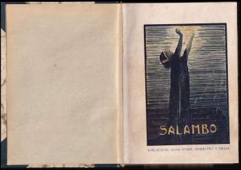 Gustave Flaubert: Salambo
