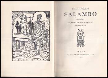 Gustave Flaubert: Salambo