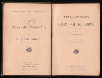 Guy de Maupassant: Salon paní Tellierové