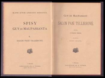 Guy de Maupassant: Salon paní Tellierové