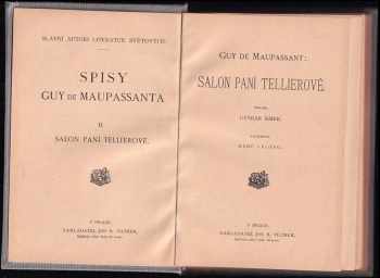 Guy de Maupassant: Salon paní Tellierové