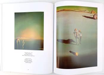 Salvador Dalí: Salvador Dalí (1904-1989)