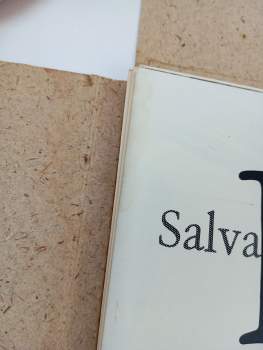 Salvador Dalí: Salvador Dali
