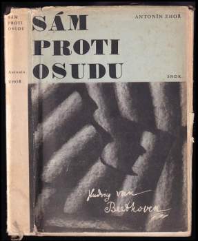 Sám proti osudu