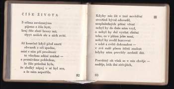 Michail Jur'jevič Lermontov: Samota a láska