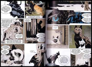 Neil Gaiman: Sandman