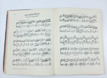 Sang und Klang im XIX. /XX. Jahrhundert: Ernstes und Heiteres aus dem Reiche der Tone