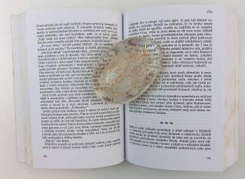 Salman Rushdie: Satanské verše