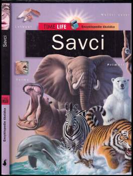 Savci