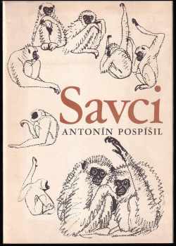 Savci