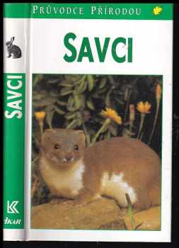 Savci