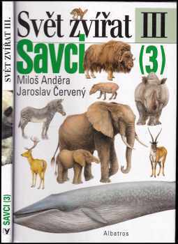 Savci