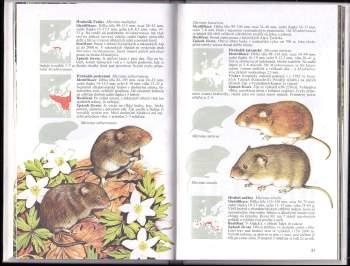 Jan Dungel: Savci střední Evropy