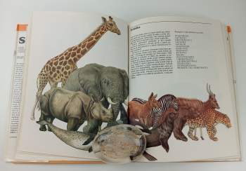 Jurij Dmitrijevič Dmitrijev: Savci známí i neznámí, lovení, chránění