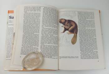 Jurij Dmitrijevič Dmitrijev: Savci známí i neznámí, lovení, chránění