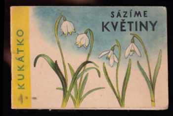 Sázíme květiny