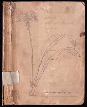 Sběr a pěstování našich užitkových rostlin léčivých, kořeninových, aromatických a jiných speciálních