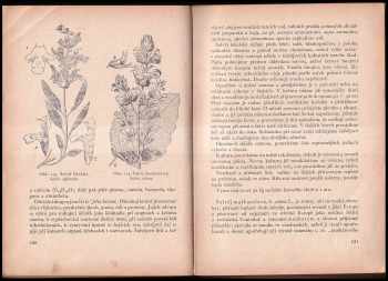 Jan Macků: Sběr a pěstování našich užitkových rostlin léčivých, kořeninových, aromatických a jiných speciálních