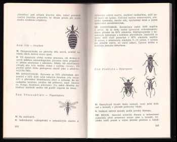 Josef Rudolf Winkler: Sbíráme hmyz