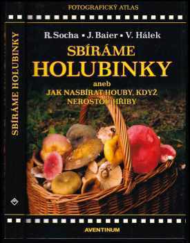 Sbíráme holubinky, aneb, Jak nasbírat houby, když nerostou hřiby