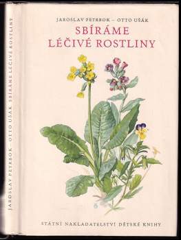 Sbíráme léčivé rostliny