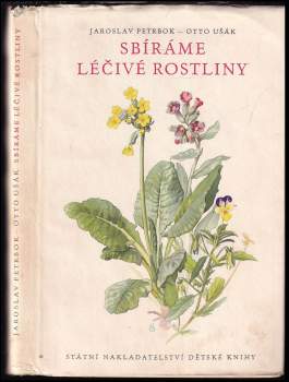 Sbíráme léčivé rostliny