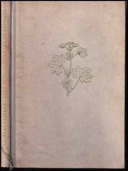 Sbíráme léčivé rostliny