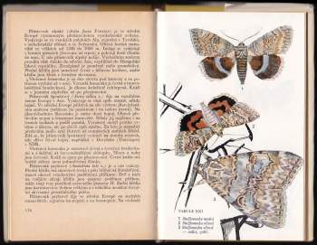 Josef Moucha: Sbíráme motýly