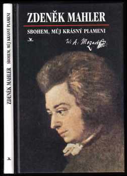 Sbohem, můj krásný plameni