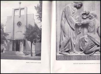 Alena Kaňáková: Sbory církve československé