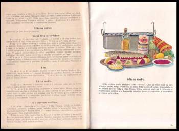 Schichtova kuchařka - vybrané předpisy