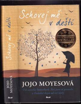 Jojo Moyes: Schovej mě v dešti
