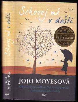Jojo Moyes: Schovej mě v dešti