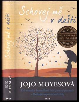 Schovej mě v dešti