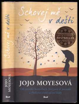 Schovej mě v dešti