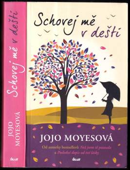 Schovej mě v dešti