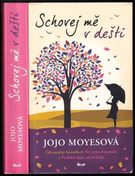 Schovej mě v dešti