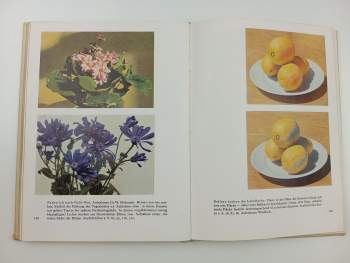 Hans Windisch: Schule der Farben Fotografie