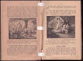 Ignaz Schuster: Schusterův Biblický dějepis Starého a Nového zákona pro obecné školy