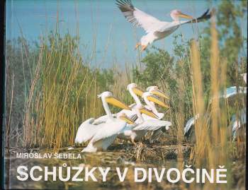 Schůzky v divočině