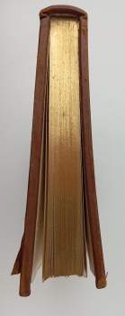 Tomáš Garrigue Masaryk: Sebevražda hromadným jevem společenským moderní osvěty